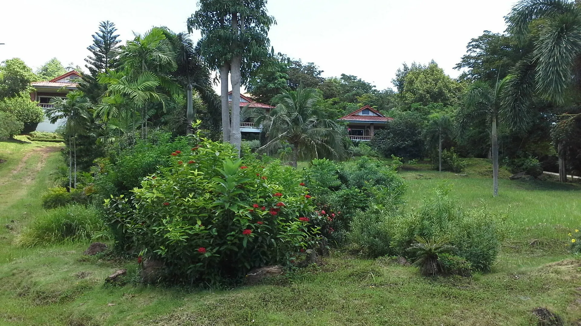 Freedom Estate Sea View Apartments Koh Lanta Thailand